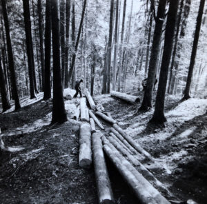 Bilder aus dem Archiv Forstmuseum Balenberg,